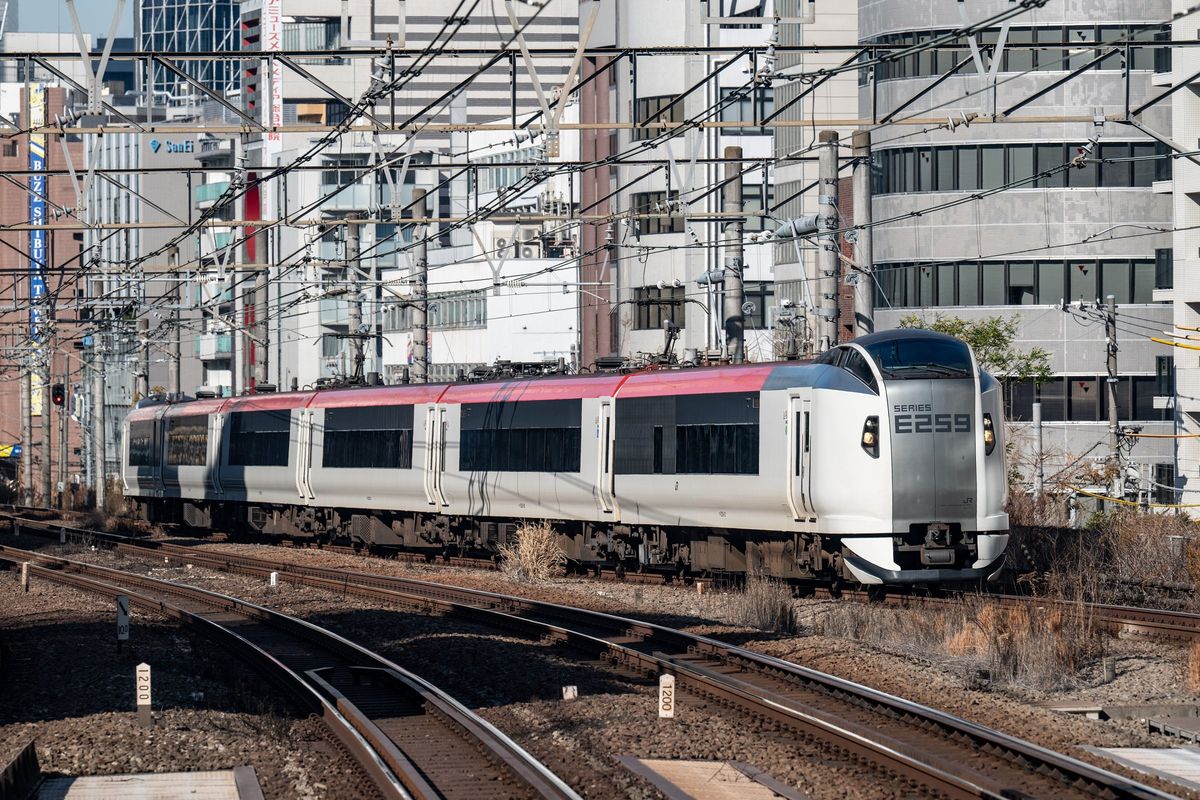Zug des Narita Express an einem Bahnhof in Tokio